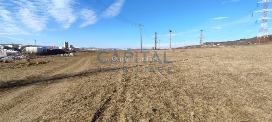 Teren industrial intravilan cu certificat de urbanism in Zona Emerson ! - 4