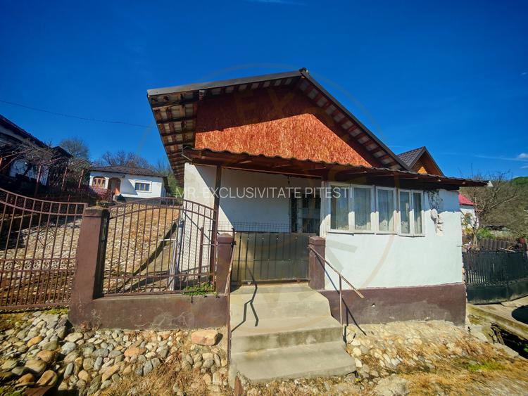 Casa + teren 3233 mp Darmanești Arges - 12