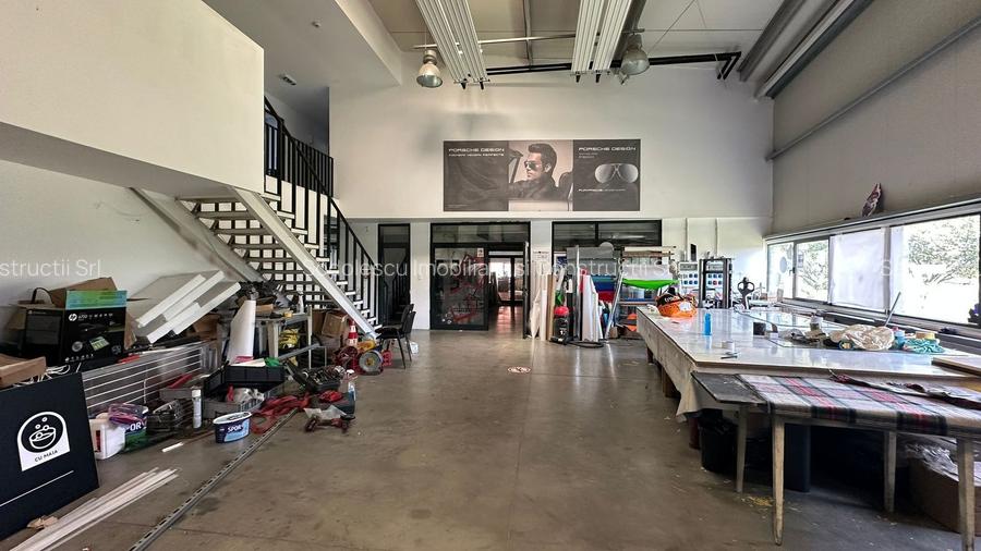 Hala depozitare /productie,Timisoara, NV - 8