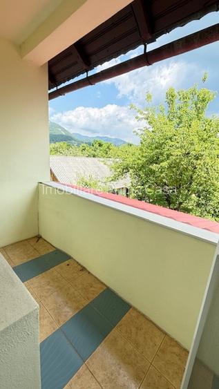 BAIA SPRIE - spre Cavnic Vila D+P+E 168mp + anexa cu teren 1526mp! - 22