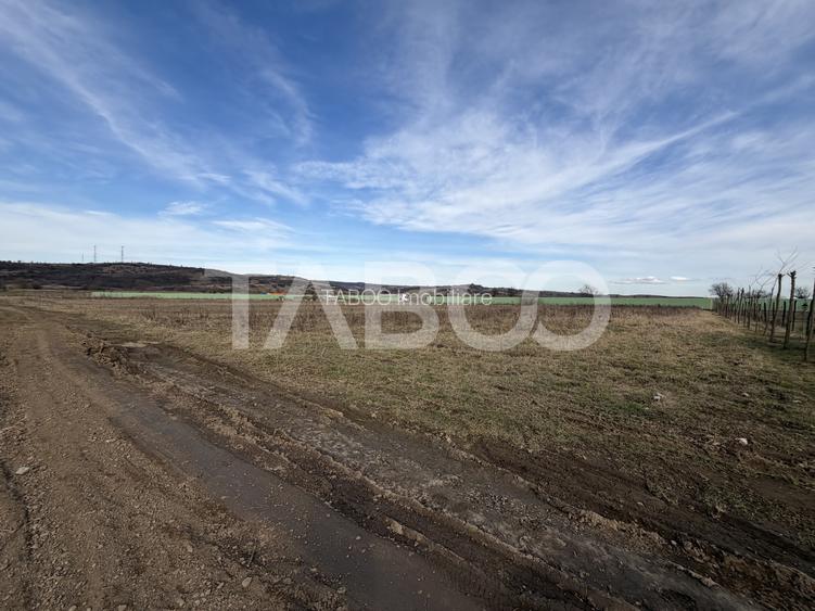 Teren Intravilan 1440 mp cu toate utilitatile Zona Meltea Fagaras - 3