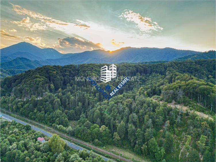 Teren investiție – comision 0% - 6