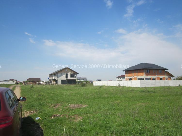 Domnesti-Crengutei - 8