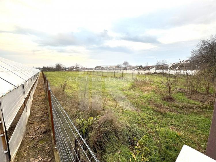 teren intravilan, Curcubeu, Balta Doamnei, liber, imprejmuit - 3