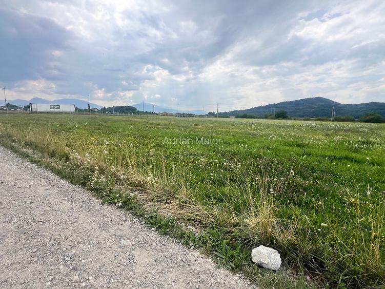 Teren de vanzare  10800 mp - 6