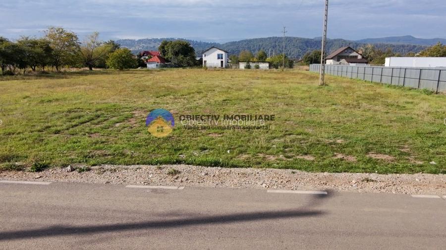 Teren de vanzare 1800 mp – Dumbrava Rosie - 7