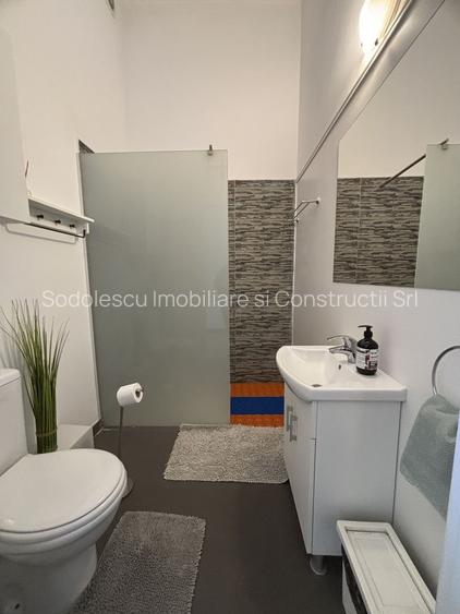 Apartament cu o camera în clădire istorică ,zona Maria - 6
