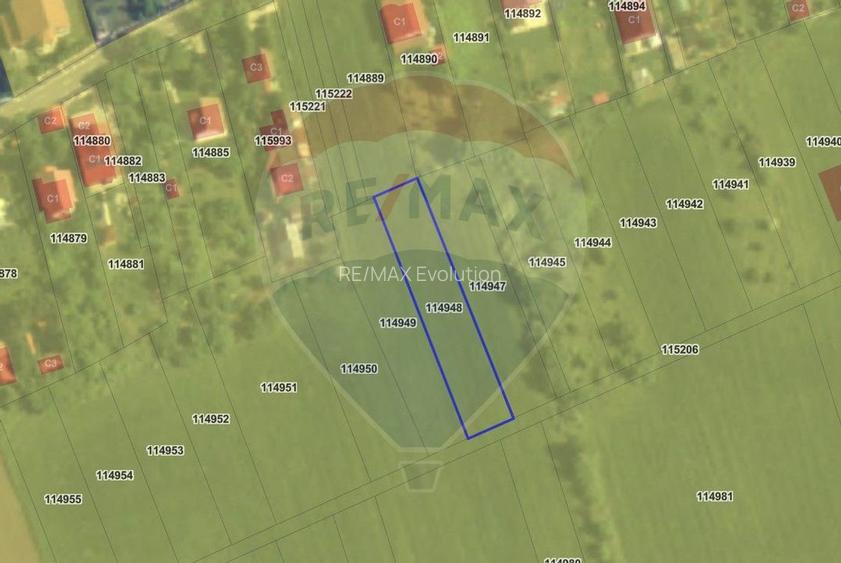 Teren 992mp Snagov / Ghermanesti / Strada Vaslui - 6