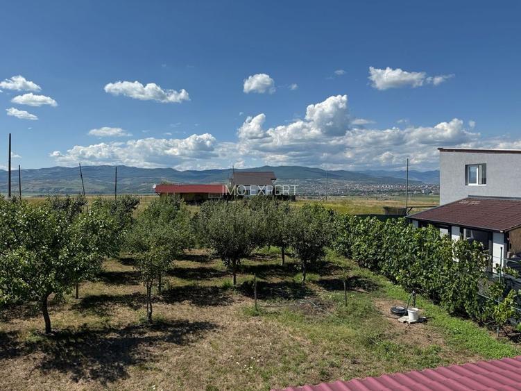 Cabana de lemn, 2 camere, teren 850 mp, livada, Oarda, Alba Iulia - 5