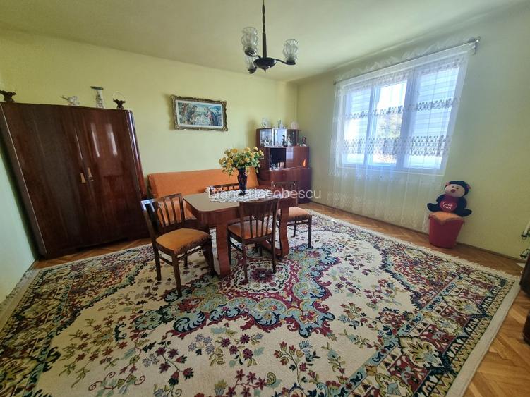 Casa 4 camere + teren 7500 mp - 6