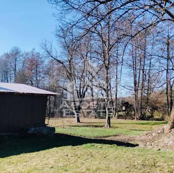 Casa potential turistic si comercial -zona Varfurile - 11