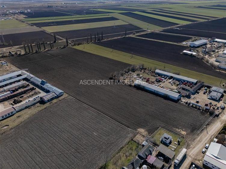 FILM! 30.000mp teren intravilan, Central, Halchiu, Brasov - 8