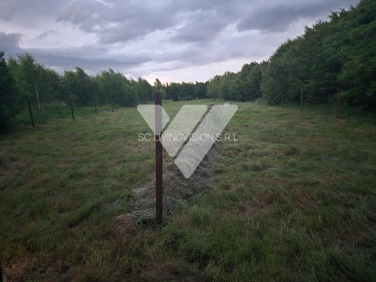 Teren Intravilan  – Valea Avrigului, 2000 mp - 3