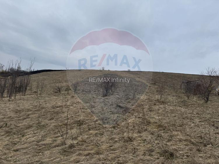 Teren intravilan 2307 mp în Salicea, zona premium, aproape de Cluj - 11