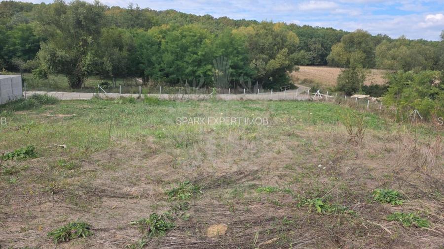 TEREN INTRAVILAN//COM. PLOPU//1300//2700 MP - 4