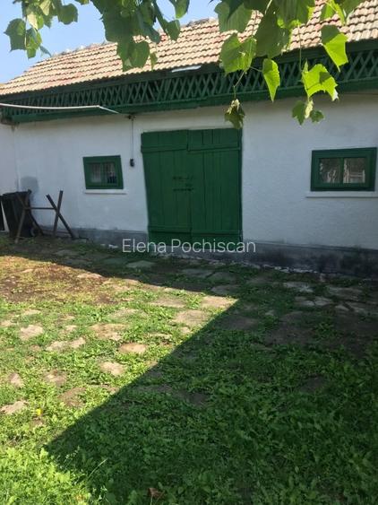 Casa 216mp cu vie si livada, 2500 mp teren – Horodistea, comuna Cotnari, Iasi - 4