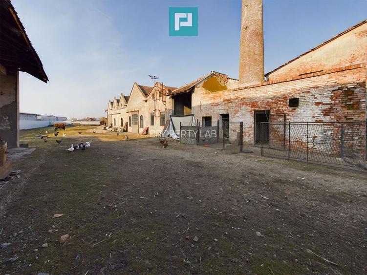 Teren și hale pe Calea Aradului din Periam - 6