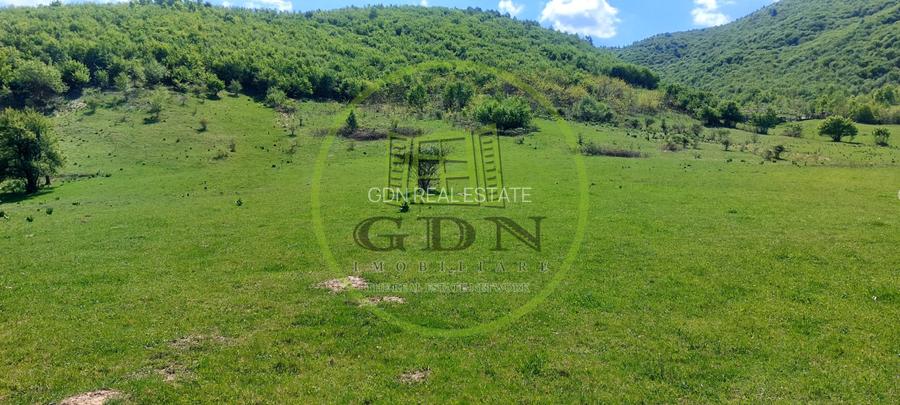 Teren extravilan 1704 mp in Gura Raului, utilitati - 5
