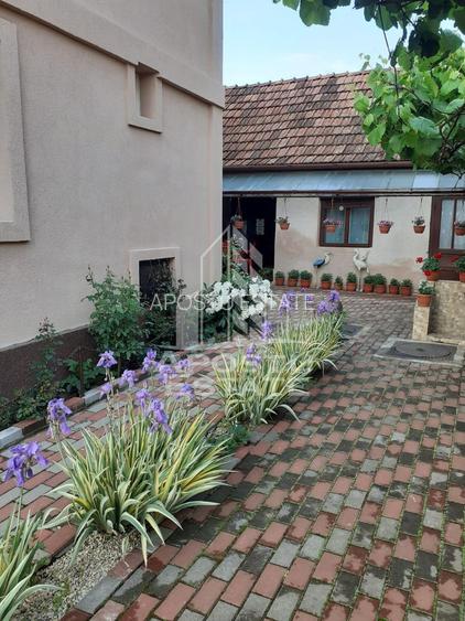 Casa individuala plus anexa, zona centrala in Faget - 5