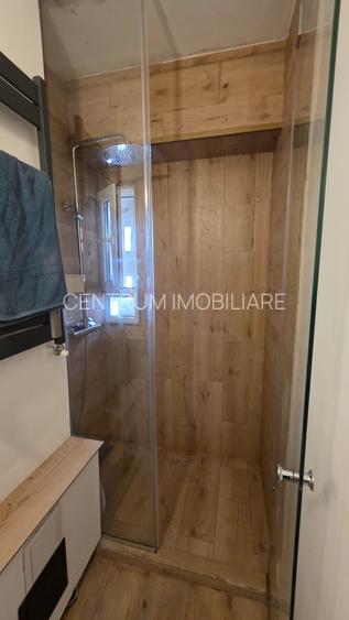 Inchiriere 2 camere Cismigiu - Sala Palatului - 10