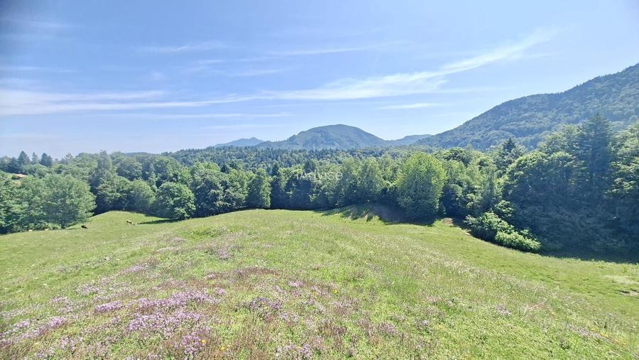 Teren intravilan superb Râșnov Glăjerie - 3