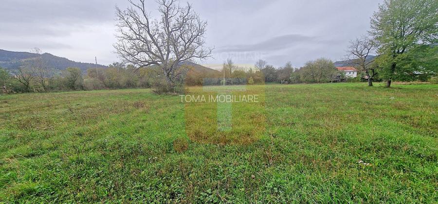 Teren intravilan de vânzare – 1.350 mp – Comuna Alexandru cel Bun - 10