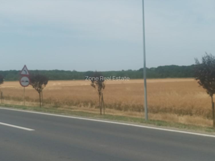 Teren Vanzare Intravilan Branesti - Investitie Zona Industriala Vis a Vis Makita - 23