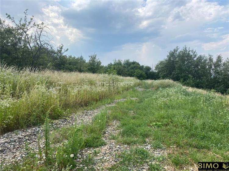 Teren 500mp Falticeni - 2