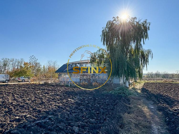 De vanzare ferma Calarasi in stare de conservare - sere - livada  - 25