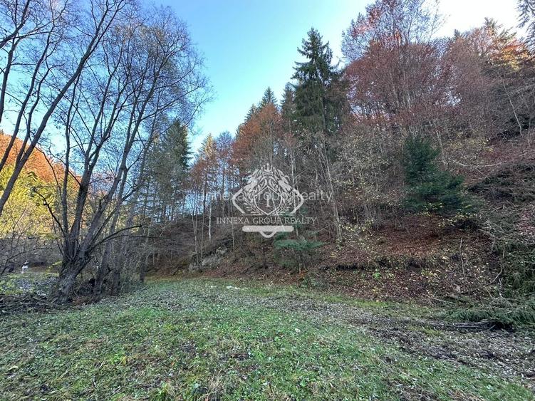 Teren 2.882 mp – oportunitate investitie - Cheile Dâmbovicioarei - 17