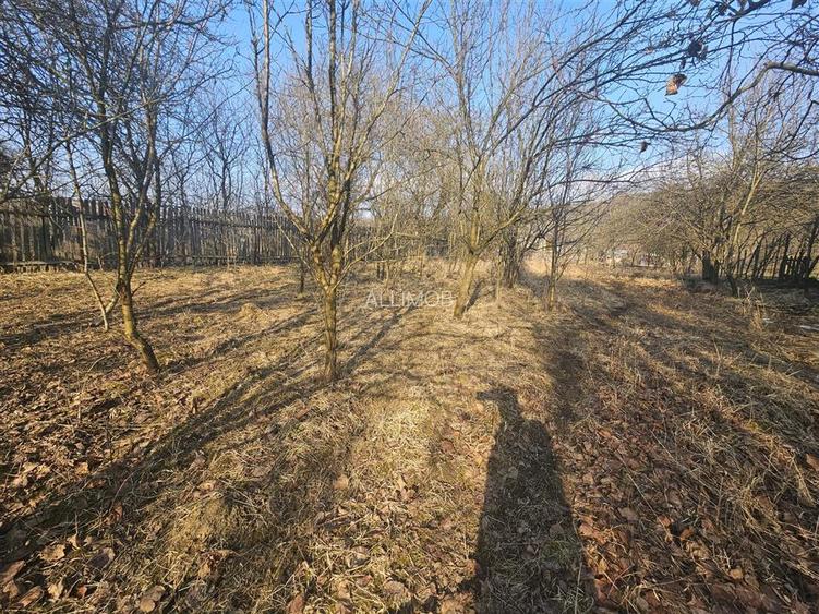 Teren 1000 mp si casa renovabila in Valcanesti . - 8