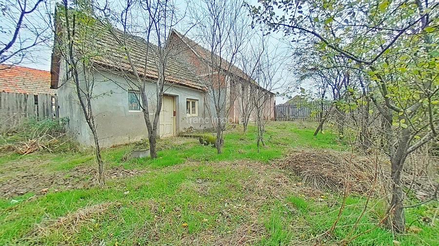 Casă cu potențial, teren generos de 1.440 mp – Secusigiu, Arad - 2