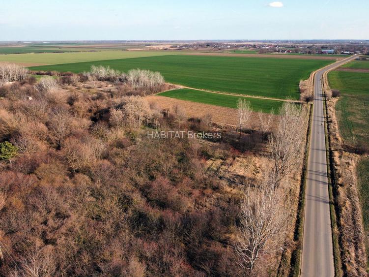 Ferma si livada de meri in judetul Ilfov - 23