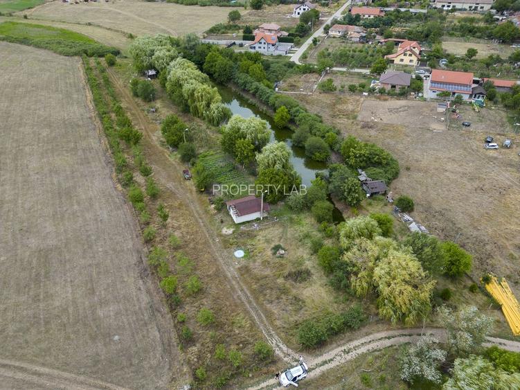 Teren de 7900 mp cu baltă de pescuit în Frumușeni - 4