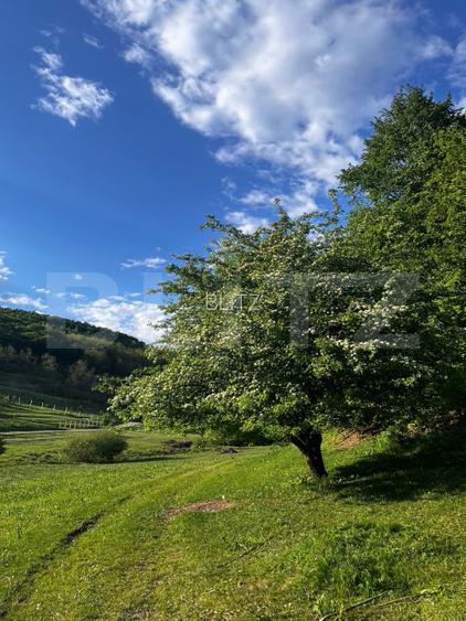 Apartament 3 camere 53 mp , 2 parcari, curte  - 17