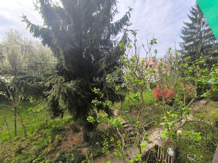 Apartament tip studio cu gradina Gruia strada Migdalului - 4
