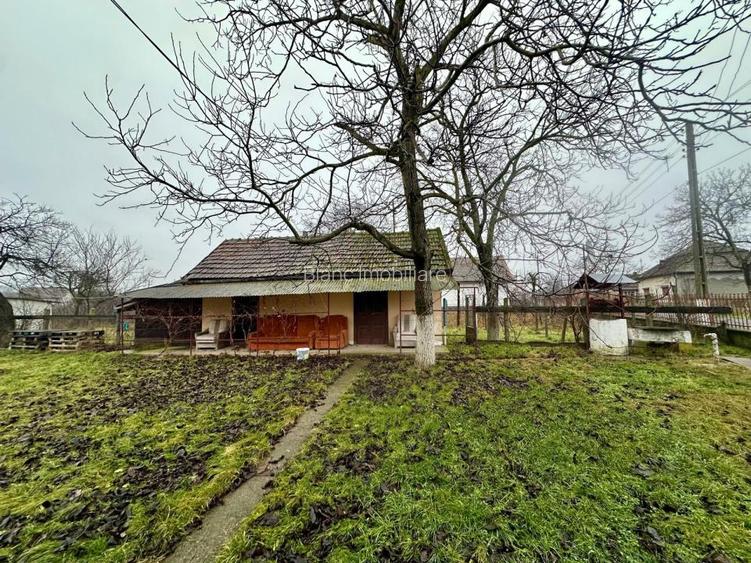 Casa de vanzare in Cig (Tasnad), Satu Mare - 12