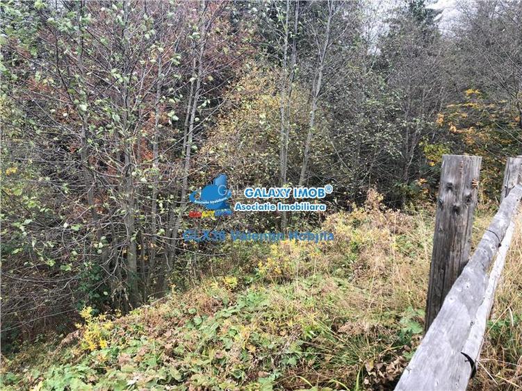 Vanzare teren 850 mp Predeal Cioplea - Belvedere - 8