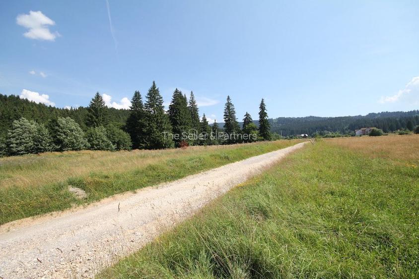 Poiana lui Manole - teren Intravilan - 16