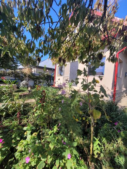 CUMPANA -P+M - TEREN 506 MP, -BCA - GARAJ - 129500 EURO - 6