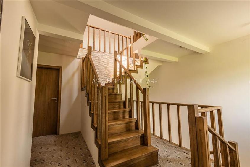 FILM! Distinctie pe arena spataculoasei naturii, Bran, Fundata - 16