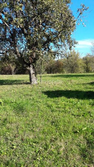 Teren intravilan în sat Făget, com. Drajna, Prahova - 8