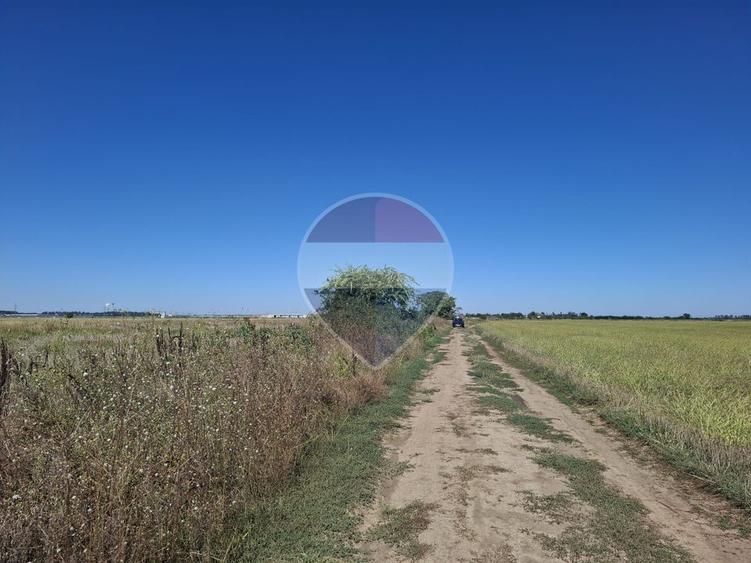 Vanzare teren extravilan 5.000mp - Pantelimon