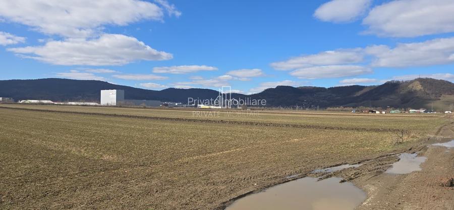 Teren 6607 Mp, Albesti, judet Mures - 3