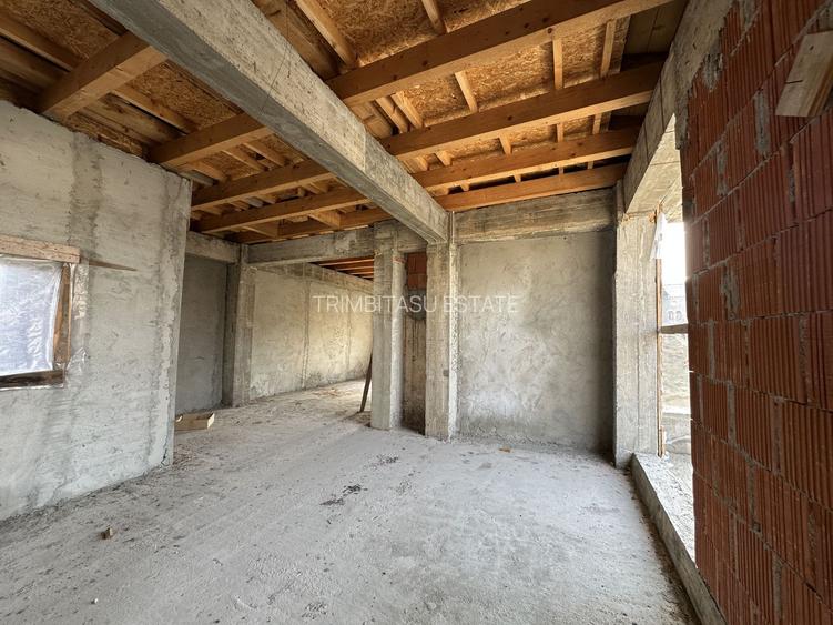 FERDINAND - Lirei | Teren 412 mp| Cladire 750 mp | structura noua - 21