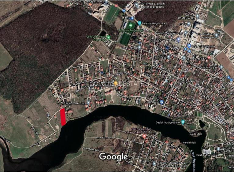 Teren dezvoltare 4763 pe malul Lacului Mogosoaia deschidere 40 metri - 12