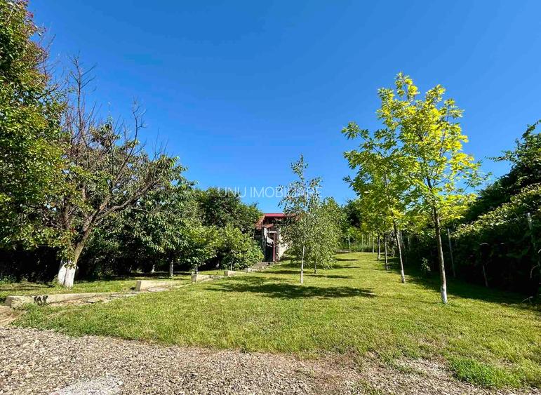 Vila de lux 310 mp construiti, cu piscina 40mp, Bucium Iasi, 1500mp teren, garaj foisor livada - 2