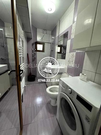 Apartament 1 camera de vanzare in Alexandru cel Bun - 8