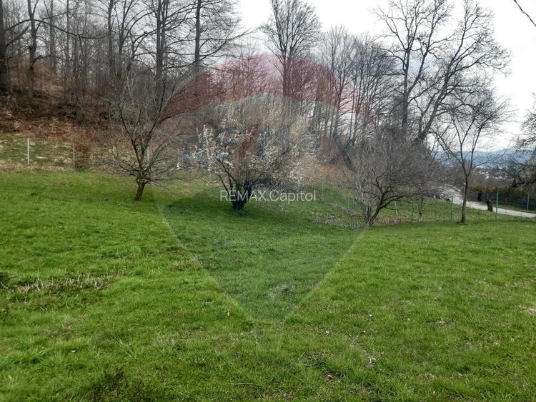 Casă / Vilă cu 7 camere   în zona Bran-Tohanita - 11
