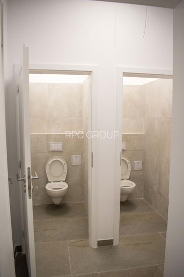 Închiriere spații de birouri – Dumbrăvița, str. Belgrad - 5